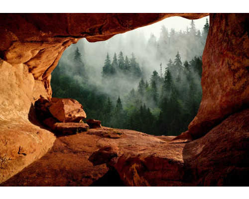 Fototapete eines nebligen Waldes von einer Höhle aus gesehen mit einer geheimnisvollen Atmosphäre.