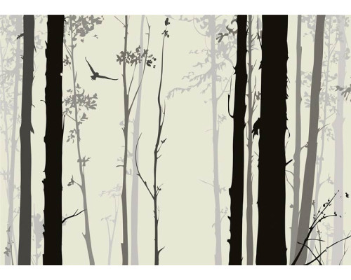 Fototapete Mystic Forest