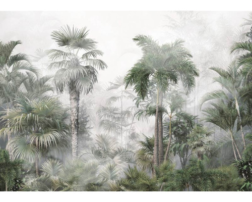 Fototapete Mystic Tropical Rainforest