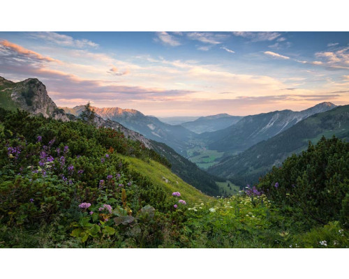 Naturpark Allgäuer Hochalpen Fototapete, die eine wunderschöne Berglandschaft zeigt.