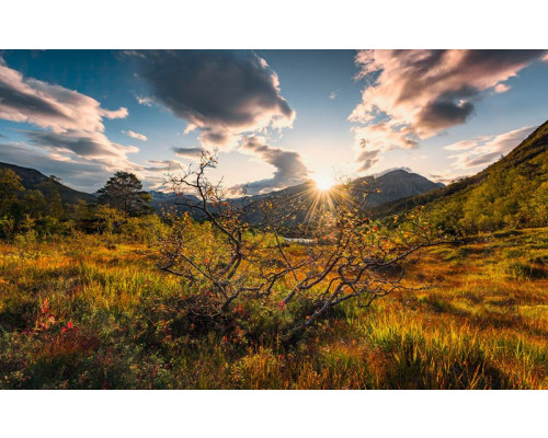 Norwegische Herbstwelt Eresfjorden Landschaft Fototapete, mit atemberaubenden Ansichten in Norwegen.