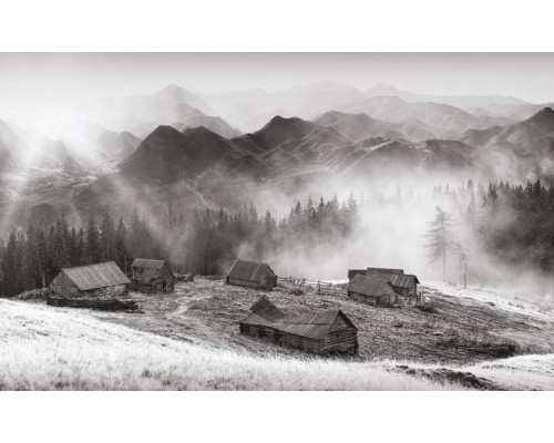 Fototapete eines alten Bauernhauses in den Bergen, umgeben von dichten Wäldern und Natur.