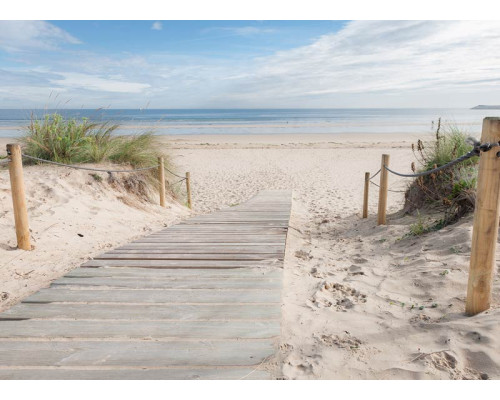 Eine Fototapete mit einem Holzweg zum Strand, umgeben von Dünen und Strandhafer, mit dem Meer im Hintergrund und einem klaren blauen Himmel.