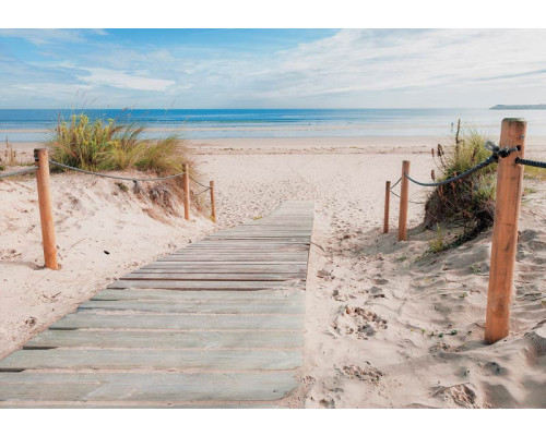 Ein Sandweg führt zu einem abgelegenen Strand mit klarem, blauem Meer und Dünen im Hintergrund. Eine Fototapete, die Ruhe und Freiheit ausstrahlt.
