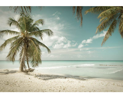 Tropischer Strand mit einer Palme, die sich über das Meer beugt, eine Fototapete, die das ultimative Strandgefühl hervorruft.
