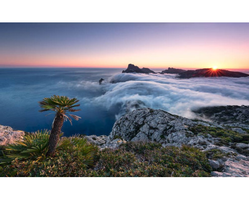 Paradise Island Mallorca Natur Fototapete, ideal für ein ruhiges Zimmer.