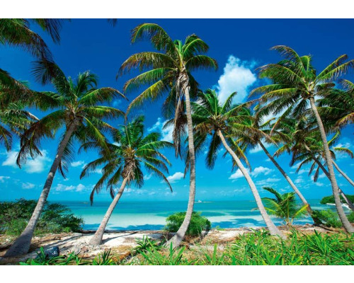 Fototapete von Paradies Palmen an einem tropischen Strand mit Blick auf das Meer.