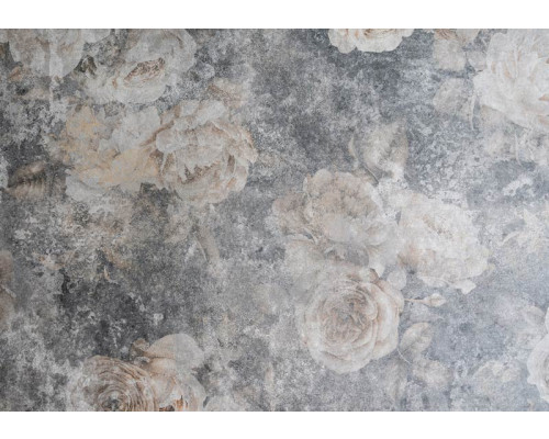 Graue Rosen auf einer Betonwand, eine Fototapete mit einem modernen und minimalistischen Stil.