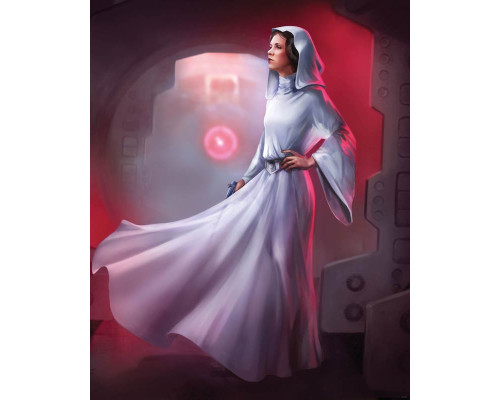Star Wars Fototapete mit Prinzessin Leia, perfekt für Fans der Original-Trilogie.