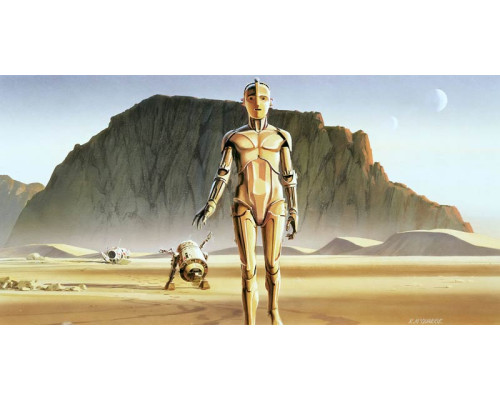 Star Wars Droiden-Fototapete mit den beliebten Robotern R2-D2 und C-3PO.