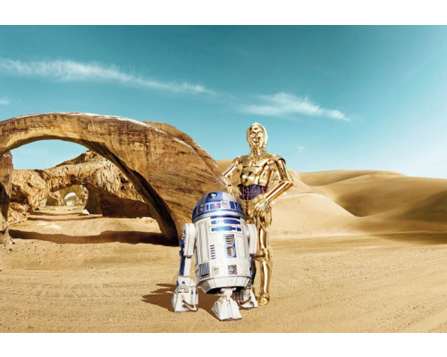 Fototapete mit verlorenen Droiden aus Star Wars, perfekt für ein Zimmer mit Star Wars-Thema.