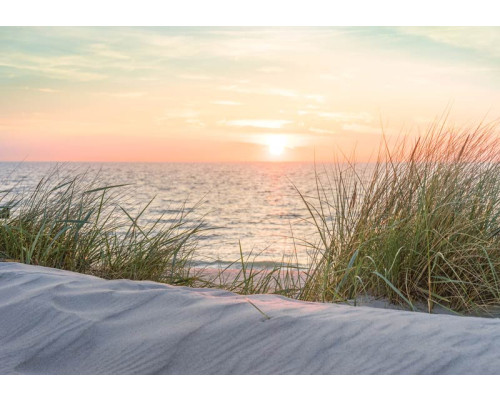 Fototapete von einem Strand und Dünen bei Sonnenuntergang, warme Farben.