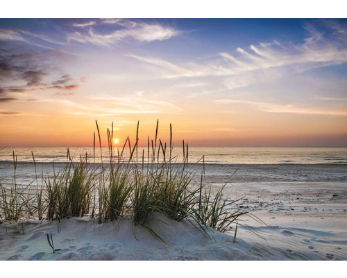 Fototapete mit Strandhafer auf Sanddünen mit Blick auf das Meer bei Sonnenuntergang.