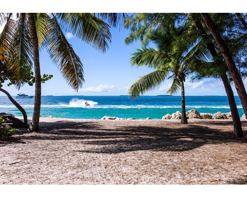 Fotobehang met zandstrand tussen palmbomen in blauwe tinten