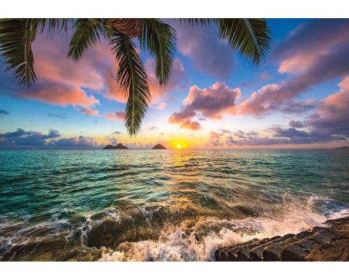 Sonnenuntergang über dem Meer mit einer Palme im Vordergrund, Fototapete, die eine warme und entspannende Atmosphäre schafft.