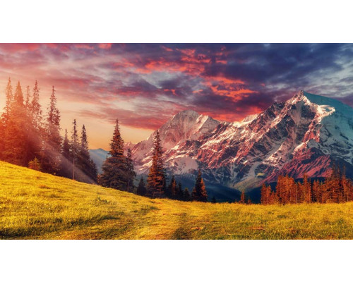 Ein sonniger Tag in den Alpen, wo Berge und Natur auf einer lebendigen Fototapete zusammenkommen.