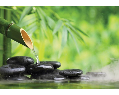 Wellness-Fototapete mit Sauna, heißen Steinen und Blumen.