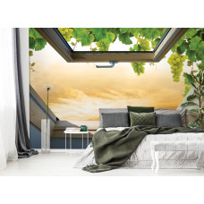 Eine Fototapete mit einer Ansicht von Weinreben für das Schlafzimmer.