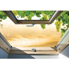 3D-Fototapete mit einer Fensteransicht von Weinreben, mit Tiefenwirkung.