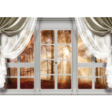 Fototapete mit Blick auf einen Herbstwald mit Bäumen und 3D-Effekt durch ein Fenster.