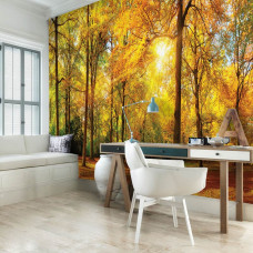 Fototapete eines sonnigen Waldes mit Bäumen in einem Büro.