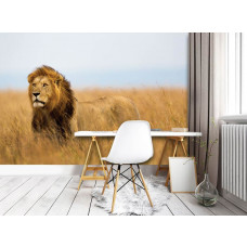 Fototapete mit dem beeindruckenden Porträt eines Löwen, ideal für ein kraftvolles Büro.