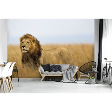 Fototapete mit dem beeindruckenden Porträt eines Löwen, geeignet für ein hartes Wohnzimmer.