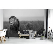 Eine Fototapete mit einem Schwarz-Weiß-Bild eines Löwen, perfekt für ein stilvolles Wohnzimmer.