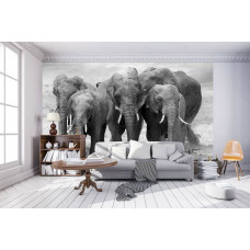 Eine Fototapete mit einer Elefantenfamilie in einer afrikanischen Savanne in einem stimmungsvollen Wohnzimmer.