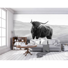 Eine Schwarz-Weiß-Fototapete mit einem schottischen Hochlandbewohner und einem Bison in einer Berglandschaft, geeignet für ein Wohnzimmer.