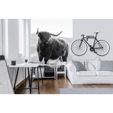Eine Schwarz-Weiß-Fototapete mit einem schottischen Hochlandbewohner und einem Bison in einer friedlichen Berglandschaft, perfekt für ein Büro.
