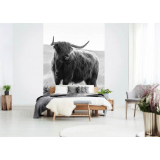 Eine Schwarz-Weiß-Fototapete mit einem schottischen Hochlandbewohner und einem Bison in einer natürlichen Umgebung, besonders für ein Schlafzimmer.