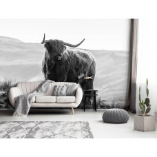 Eine Schwarz-Weiß-Fototapete mit einem schottischen Hochlandbewohner und einem Bison in einer Berglandschaft, ideal für ein Wohnzimmer.