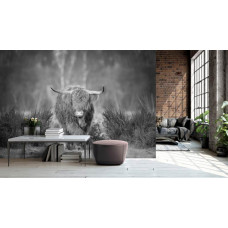 Eine Schwarz-Weiß-Fototapete mit einem Highland Cattle auf einer weiten Heide, geeignet für ein Wohnzimmer.