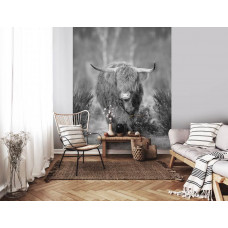 Eine Schwarz-Weiß-Fototapete mit einem Highland Cattle auf einer ruhigen Heide, ideal für ein Wohnzimmer.