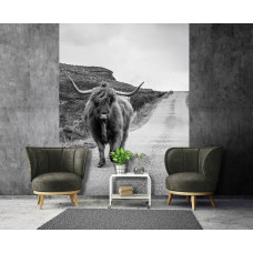 Eine Schwarz-Weiß-Fototapete mit einem schottischen Highlander auf einer Landstraße, ideal für ein Wohnzimmer.