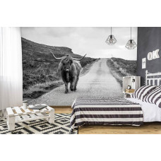 Eine Schwarz-Weiß-Fototapete mit einem schottischen Highlander auf einer Landstraße, speziell für ein Schlafzimmer.