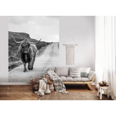Eine schmale Schwarz-Weiß-Fototapete mit einem schottischen Highlander auf einer Landstraße, perfekt für ein Wohnzimmer.