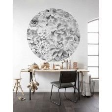 Ein Tapetenkreis mit Echeveria-Blüten, geeignet für ein Wohnzimmer.