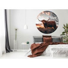 Ein Tapetenkreis mit einem schottischen Highlander auf einer Wiese bei Sonnenuntergang, perfekt für ein ruhiges Schlafzimmer.