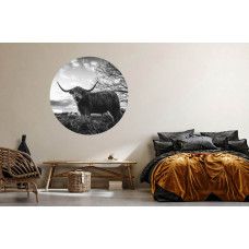 Ein Tapetenkreis mit einer rustikalen Landschaft und einem Highlander, perfekt für ein Schlafzimmer.