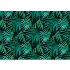 Grüne tropische Blätter in einem dichten Dschungel, Fototapete, die Natur und Frische ausstrahlt.