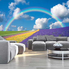 Eine Fototapete mit einem Blumenfeld unter einem Regenbogen, die eine bunte und lebendige Atmosphäre vermittelt. Perfekt für das Wohnzimmer, um einen frischen und lebendigen Look zu schaffen.