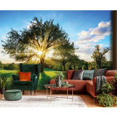 Eine Fototapete von einem Baum mit Sonnenstrahlen in einer Landschaft, die im Wohnzimmer zu sehen ist.