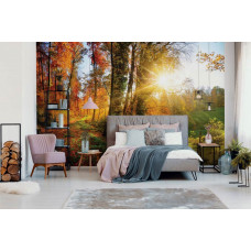 Fototapete Wald mit Bäumen bei Sonnenuntergang für das Schlafzimmer.