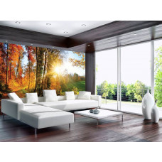 Fototapete Wald mit Bäumen bei Sonnenuntergang für das Wohnzimmer.