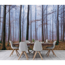 Fototapete eines Waldes mit Bäumen und Blättern in der Küche.