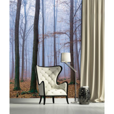 Fototapete eines Waldes mit Bäumen und Blättern im Wohnzimmer.