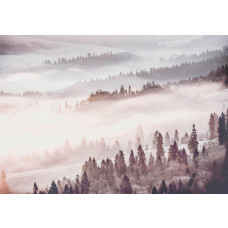 Fototapete mit nebligem Wald und einer Landschaft voller Bäume und Natur.