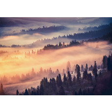 Fototapete mit Bäumen im Nebel und einem weiten Blick über die Natur.